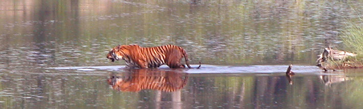 BardiyaNationalPark