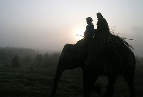 Chitwan Jungle Safari